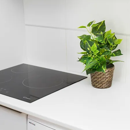 Beautiful One Bedroom Refino